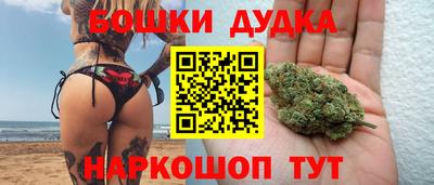сатива Краснокаменск