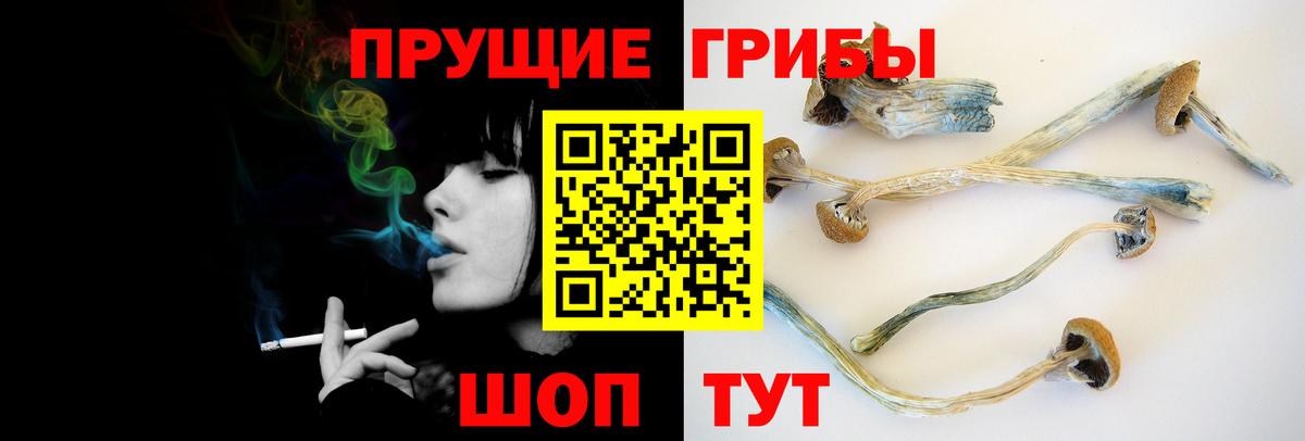 Псилоцибиновые грибы Psilocybe  Галлюциногенные грибы Psilocybe  Вход с VPN  Биробиджан 